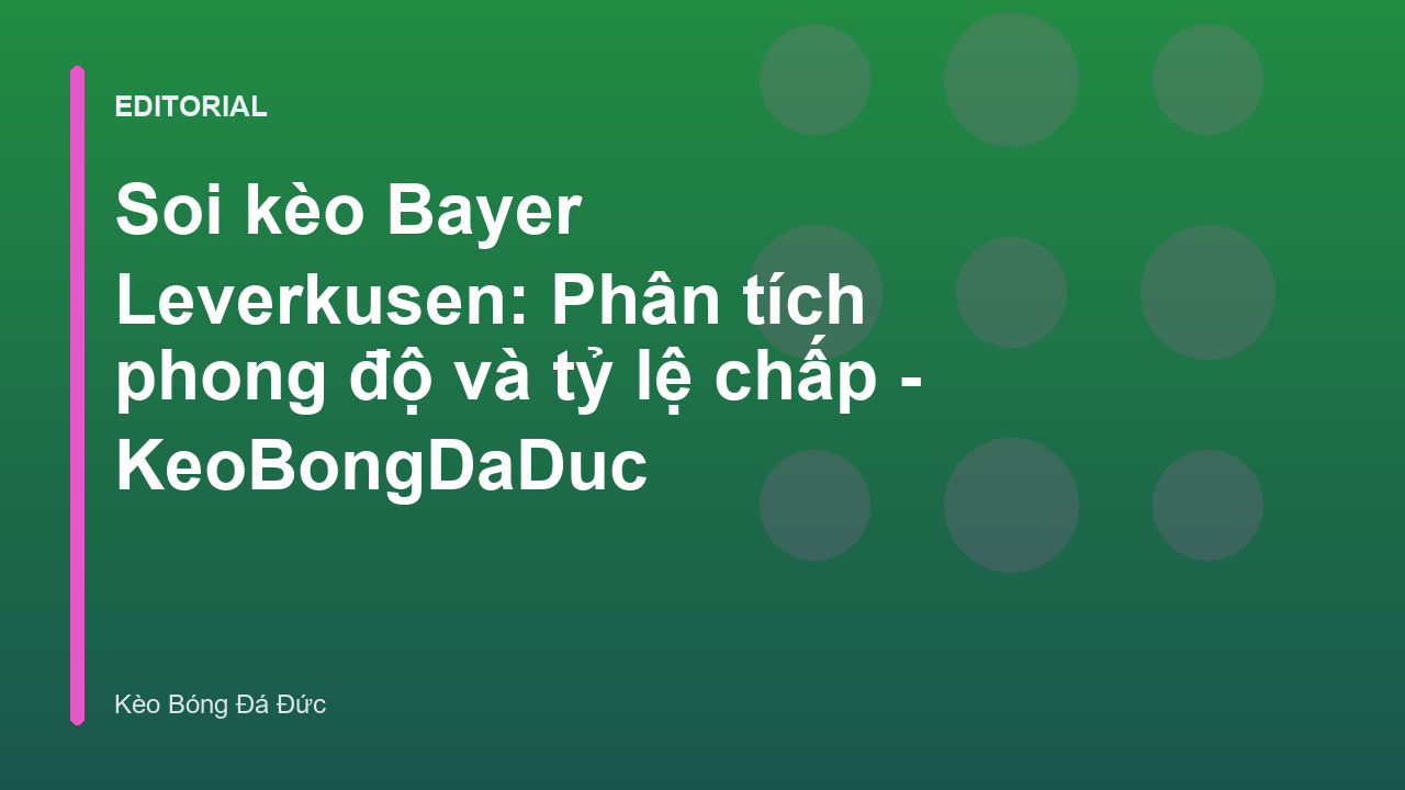 Cầu thủ Bayer Leverkusen trong một trận đấu tại Bundesliga